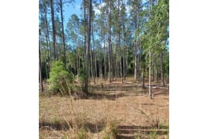 TBD SW CORNER SW95 AVE\SW 158 LN, DUNNELLON, FL 34432 - MLS#MFROM659990